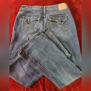 Amethyst Junior-Plus Flare Jeans